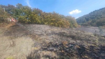 Bolu’daki Mudurnu ilçesindeki otluk arazide başlayan yangın, itfaiye ekiplerinin hızlı
