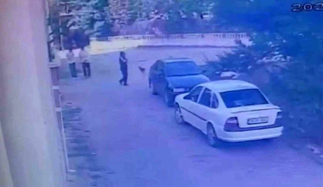 Bolu’da park halindeki otomobilin kapısını açarak içeri giren ve araçta
