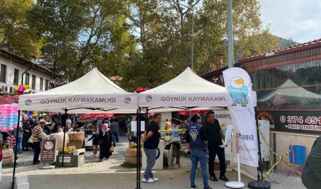Bolu’nun Göynük ilçesinde SİBERAY standı açılarak vatandaşlara siber suçlar ve