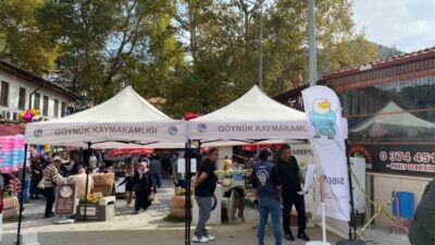 Bolu’nun Göynük ilçesinde SİBERAY standı açılarak vatandaşlara siber suçlar ve