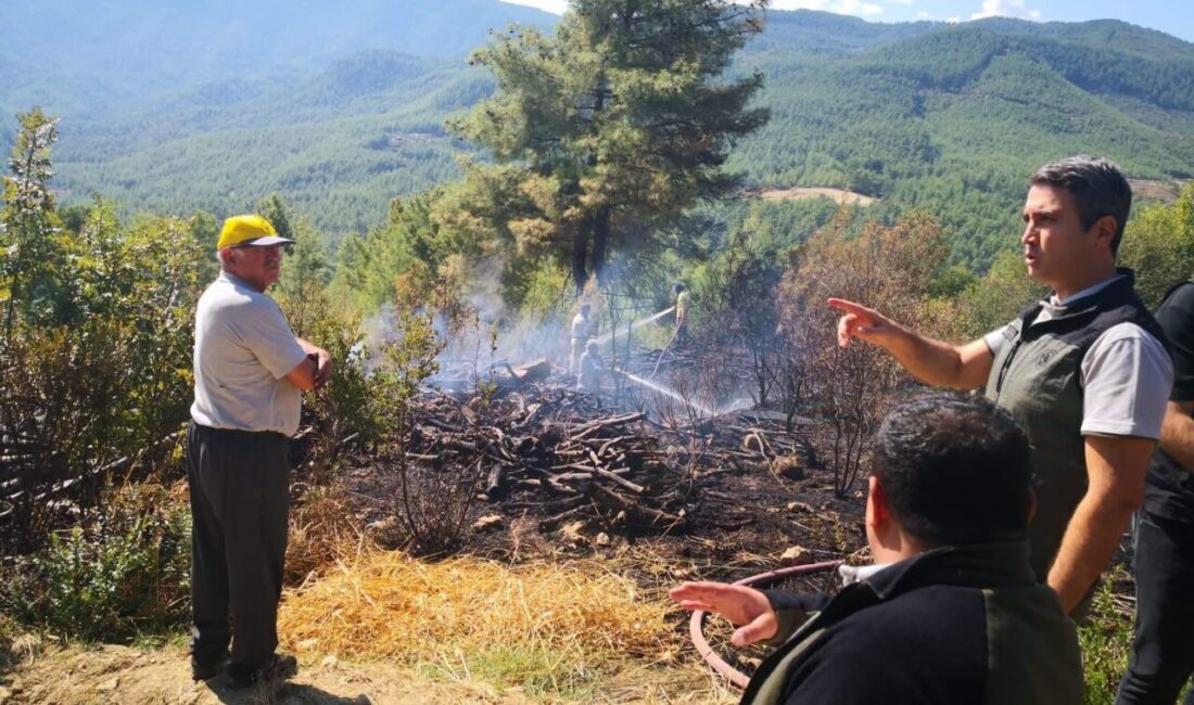 Çamlık köyünde meydana gelen orman yangını, bugün sabah saatlerinde Bucak