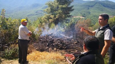 Çamlık köyünde meydana gelen orman yangını, bugün sabah saatlerinde Bucak
