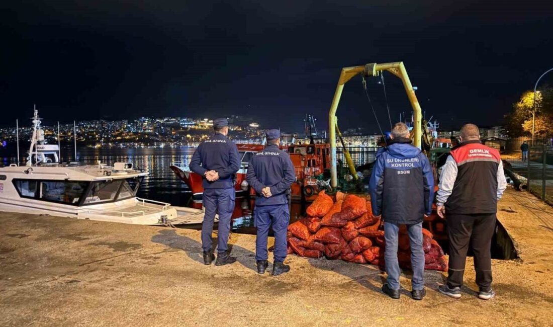 Bursa’nın Gemlik ilçesine bağlı Gemsaz sahilinde gerçekleştirilen ortak denetimde kaçak