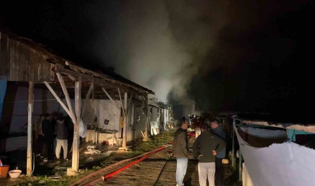 Büyükbaş hayvan çiftliğinin kullanılamaz hale geldiği bir yangın İnegöl ilçesinde