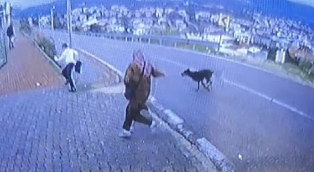 Bursa’nın Orhangazi ilçesinde, minibüs durağında bekleyen 2 kadın ve 11