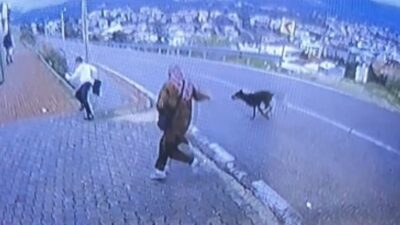 Bursa’nın Orhangazi ilçesinde, minibüs durağında bekleyen 2 kadın ve 11