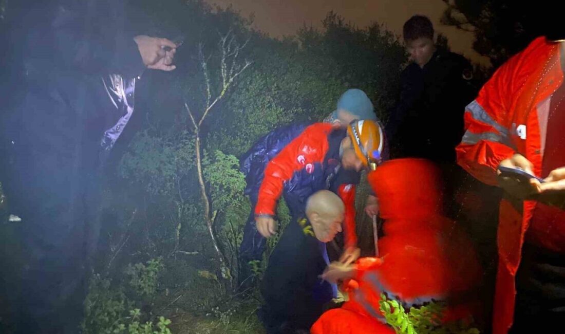 Bursa’nın Gemlik ilçesinde mantar toplamak için gittikleri bölgede kaybolan 83