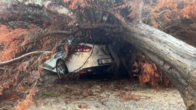 Bursa’da şiddetli yağış nedeniyle devrilen bir ağaç, park halindeki bir