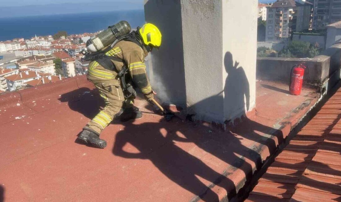 Bursa’nın Mudanya ilçesinde bir sitede yapılan çatı tadilatının ardından çıkan