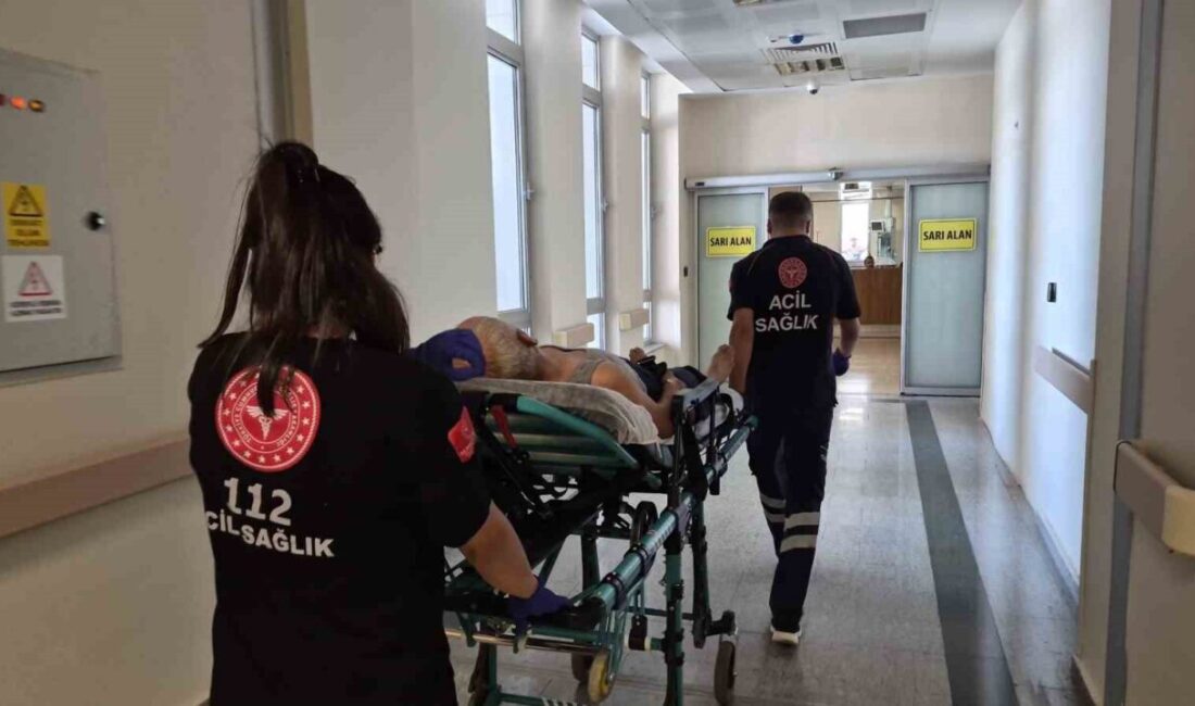 Adıyaman’da bir kişi, Malazgirt Mahallesi 2315 Sokak’ta çadır çekerken 1.