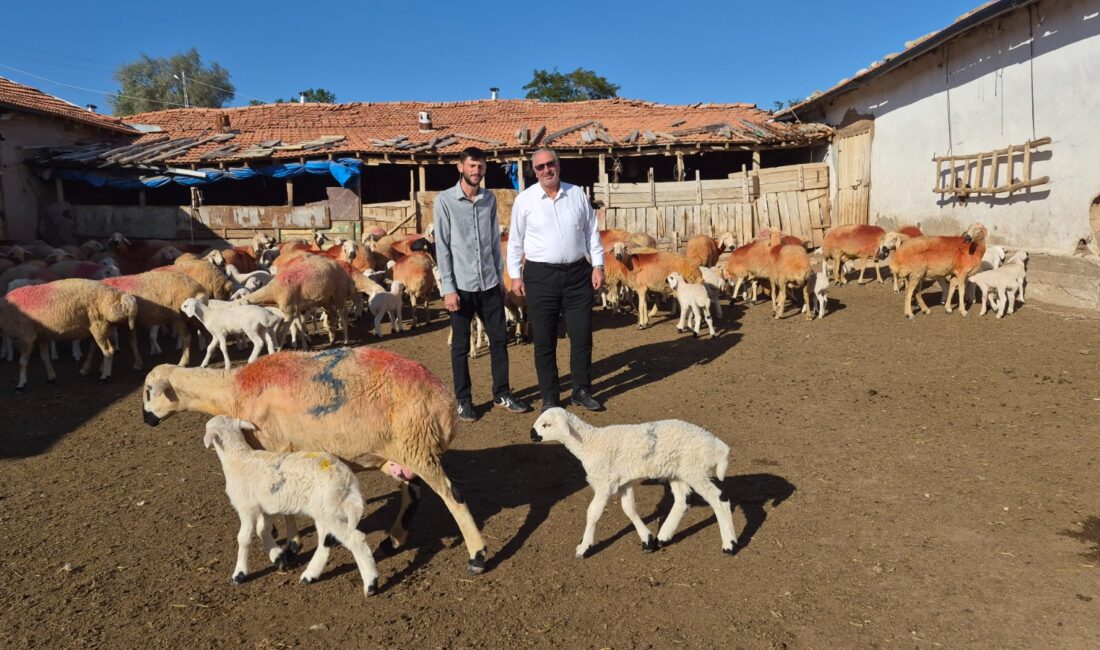 Yozgat’ın Yerköy ilçesine bağlı Çakırhacılı köyünde yaşayan Bilir ailesi, çobanlıkla