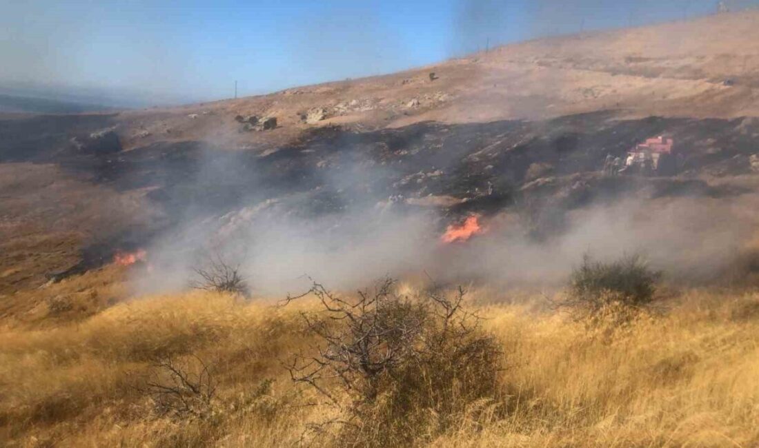 Bozcaada ilçesinde çıkan yangın kontrol altına alındı. Yangın, ilçenin Göztepe