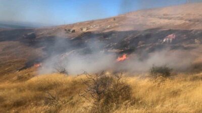Bozcaada ilçesinde çıkan yangın kontrol altına alındı. Yangın, ilçenin Göztepe