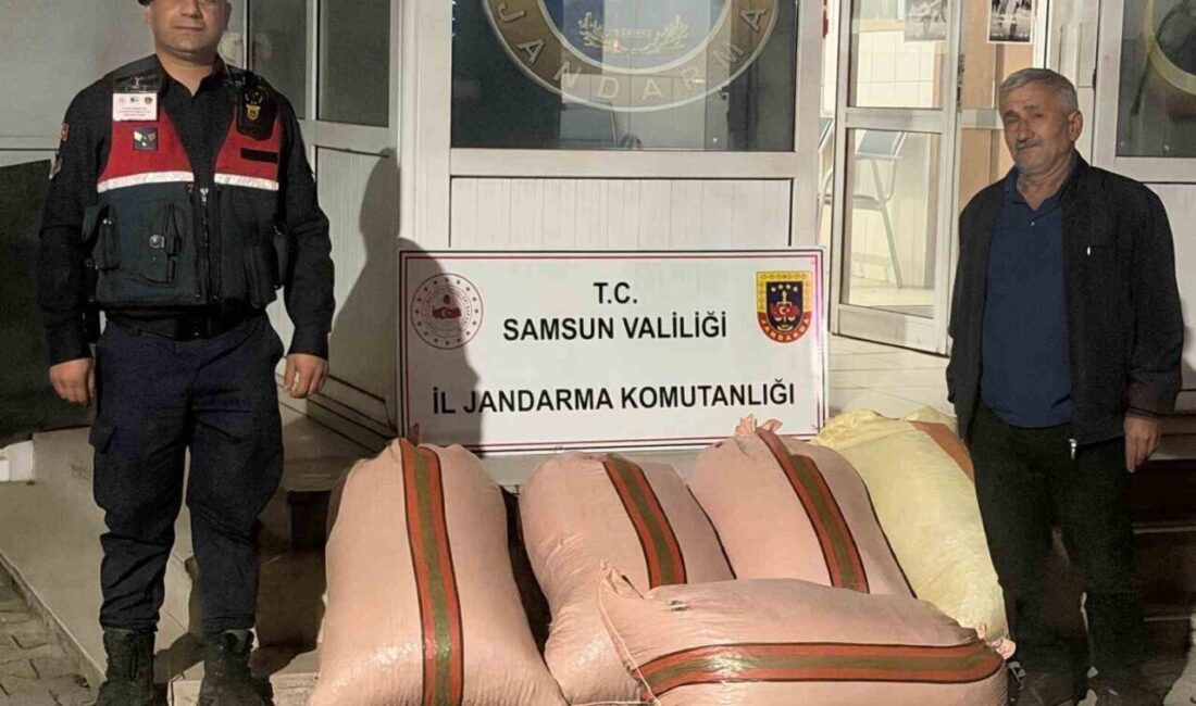 Samsun’un Çarşamba ilçesinde, bir vatandaşın iddiasına göre fındık alıp ödeme