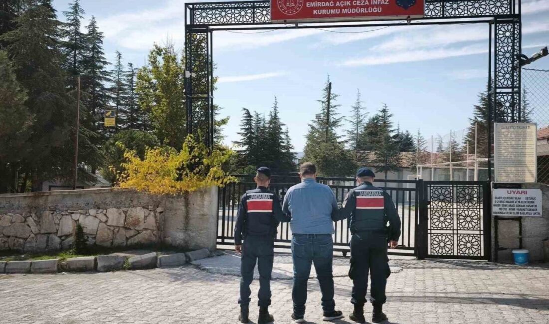 Afyonkarahisar’da jandarma ekiplerince son bir hafta içerisinde yapılan denetimlerde çeşitli