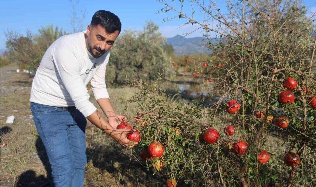 Arsuz ilçesinde meydana gelen ceviz büyüklüğündeki dolu yağışı, yurt dışına
