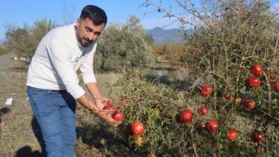 Arsuz ilçesinde meydana gelen ceviz büyüklüğündeki dolu yağışı, yurt dışına