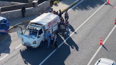 Balıkesir’in Edremit ilçesinde jandarma ekiplerinin zeytin hasat sezonunda yürüttüğü çalışmalar