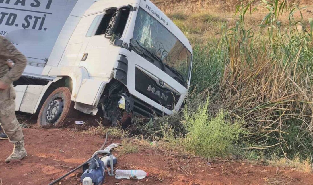 Reyhanlı ilçesinde bulunan Cilvegözü Sınır Kapısı’nda meydana gelen bir trafik
