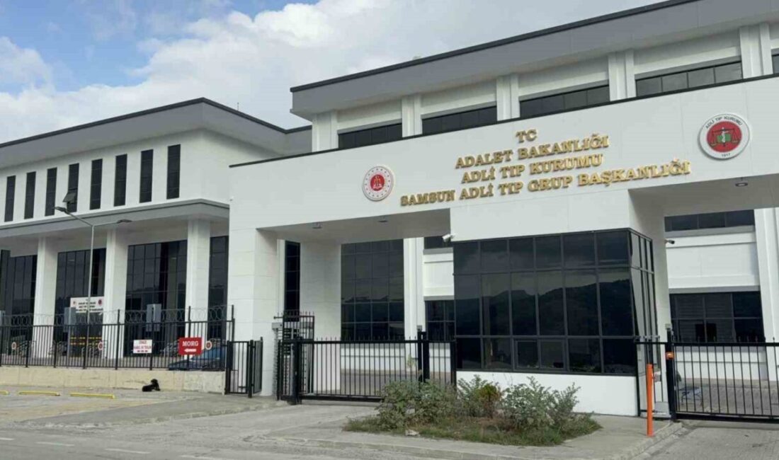 Terme ilçesinde dedesinin kullandığı hafif ticari aracın çarptığı 2,5 yaşındaki