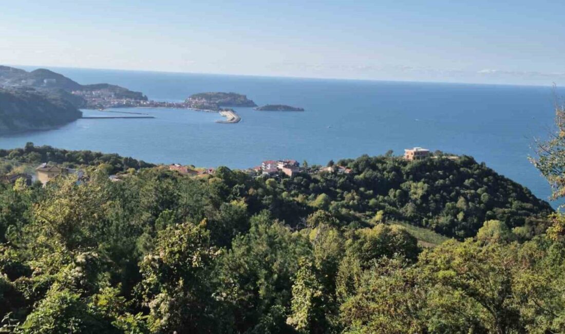 Bartın iline bağlı Amasra ilçesinde maden işçisi olan 43 yaşındaki