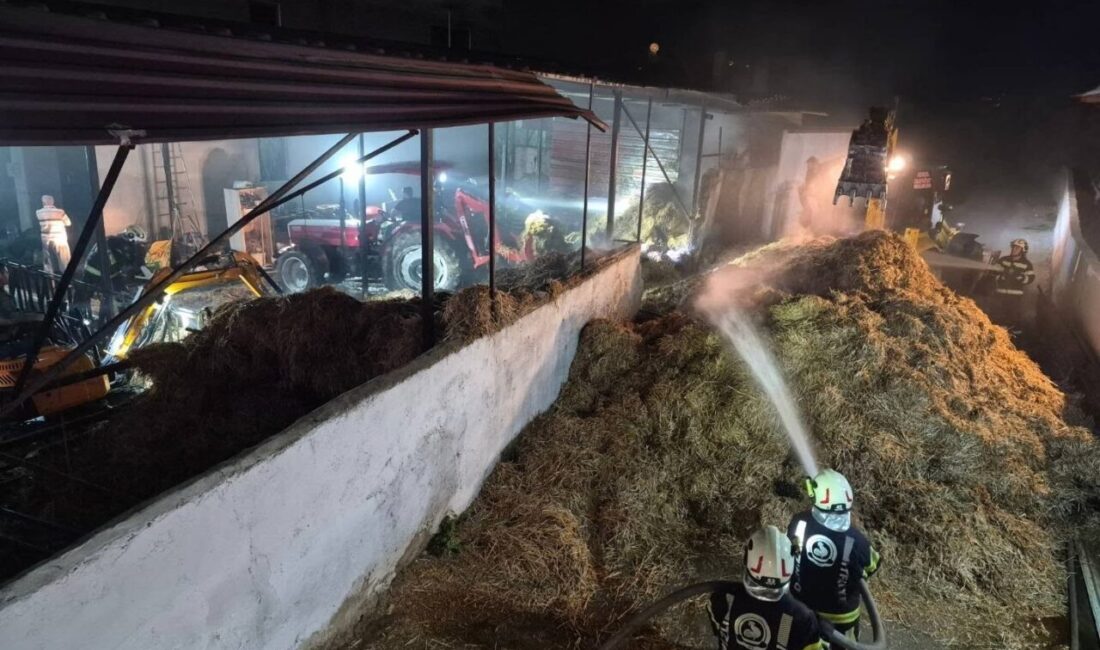 Denizli’nin Pamukkale ilçesinde bir besihanede bulunan samanların alev alması sonucu