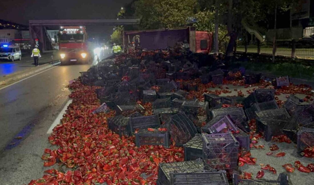 Samsun’un Tekkeköy ilçesinde yaklaşık 10 ton kapya biber taşıyan bir