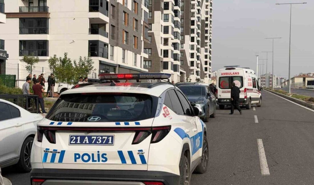 Diyarbakır’ın Kayapınar ilçesinde meydana gelen bir kavgada 2 kişi darp