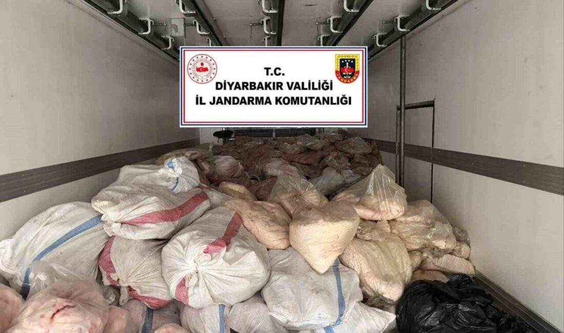Diyarbakır’ın Çınar ilçesinde jandarma ekipleri tarafından yapılan operasyonda insan sağlığı