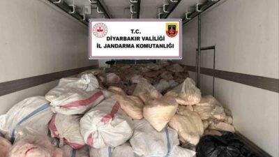 Diyarbakır’ın Çınar ilçesinde jandarma ekipleri tarafından yapılan operasyonda insan sağlığı