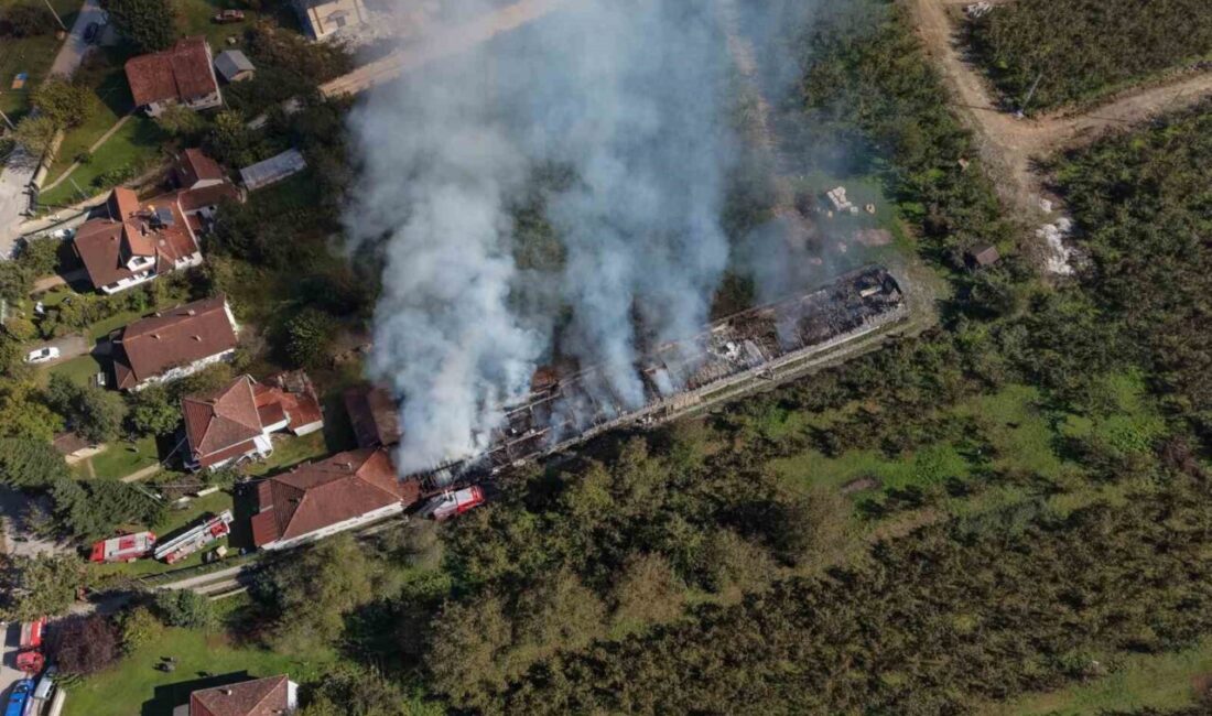 Düzce’nin Muncurlu köyünde bulunan bir ahşap mutfak dolapları üretim fabrikasında