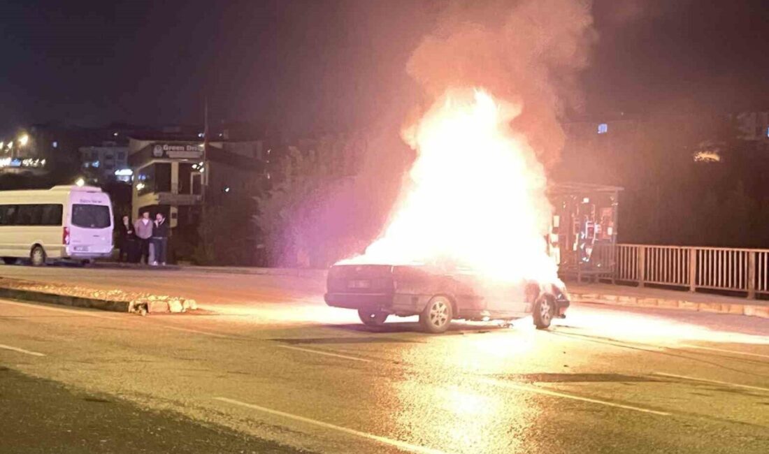 Düzce’de istop eden aracını yeniden çalıştırmak isteyen sürücünün aracı alev