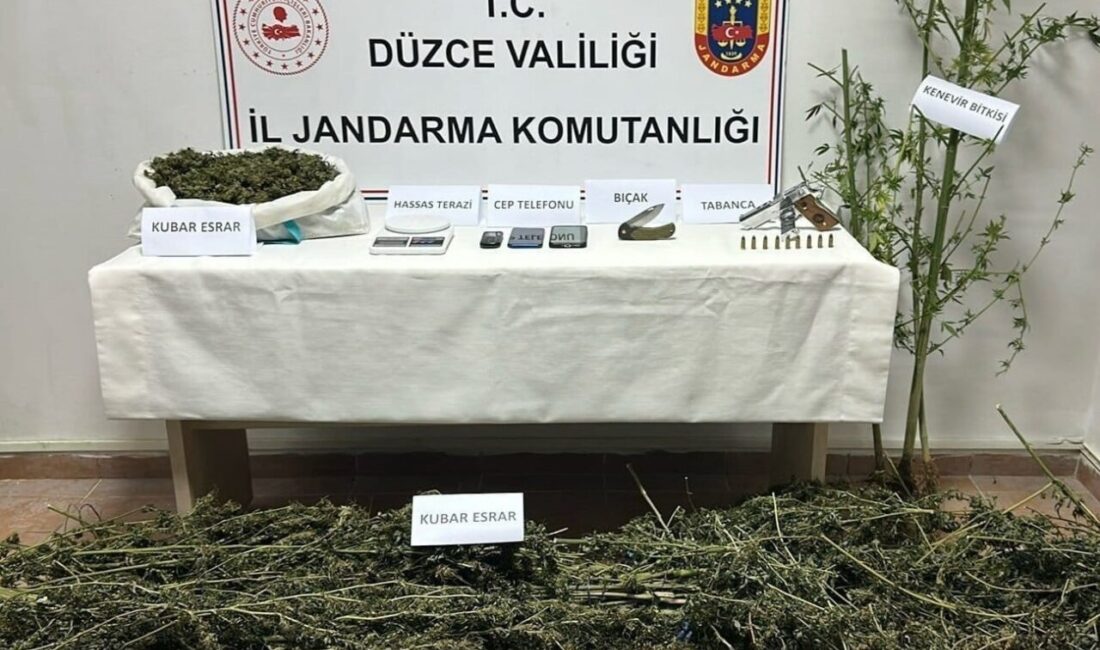 Düzce’de uyuşturucuyla mücadele kapsamında gerçekleştirilen operasyonda kubar esrar, kenevir bitkisi