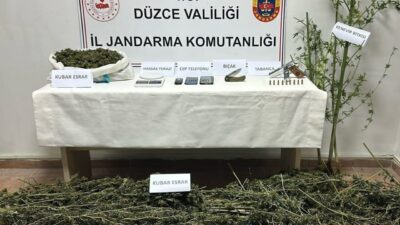 Düzce’de uyuşturucuyla mücadele kapsamında gerçekleştirilen operasyonda kubar esrar, kenevir bitkisi