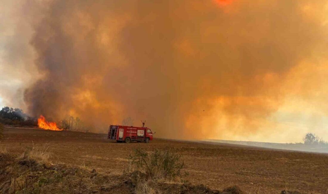 Lalapaşa ilçesindeki ormanlık ve anızlık alanda çıkan yangın, ekiplerin zamanında