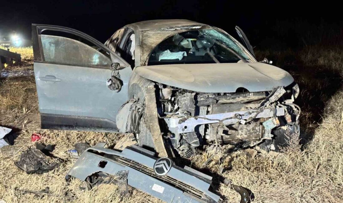 Yunanistan sınırına yakın Bosna Köyü’nde meydana gelen trafik kazasında, tarlaya