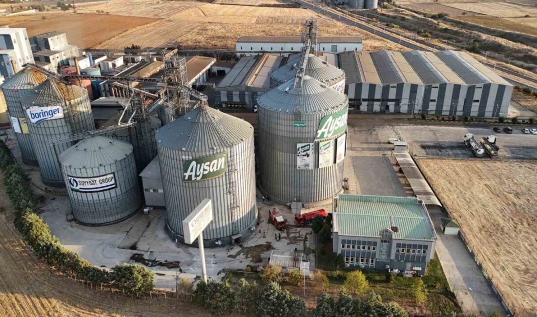 Edirne’deki bir sıvı yağ fabrikasında, ayçiçeği çekirdeklerinin bulunduğu siloda yangın