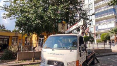 Anıl Yetişkin’in liderliğindeki Efeler Belediye Başkanı, kent genelinde yeşil alanların
