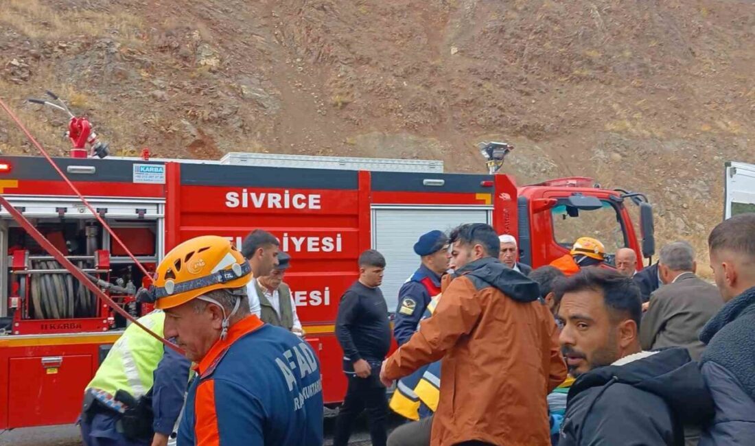 Elazığ-Diyarbakır karayolunda meydana gelen bir kaza sonucunda canlı hayvan taşıyan