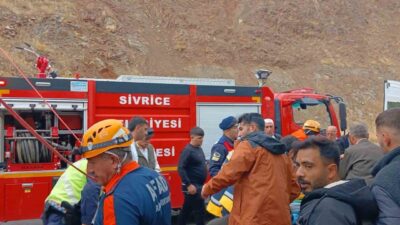 Elazığ-Diyarbakır karayolunda meydana gelen bir kaza sonucunda canlı hayvan taşıyan