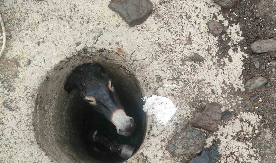 Elazığ ilinde, Bahçecik köyüne bağlı Karakoçan ilçesinde bir kuyuya düşen