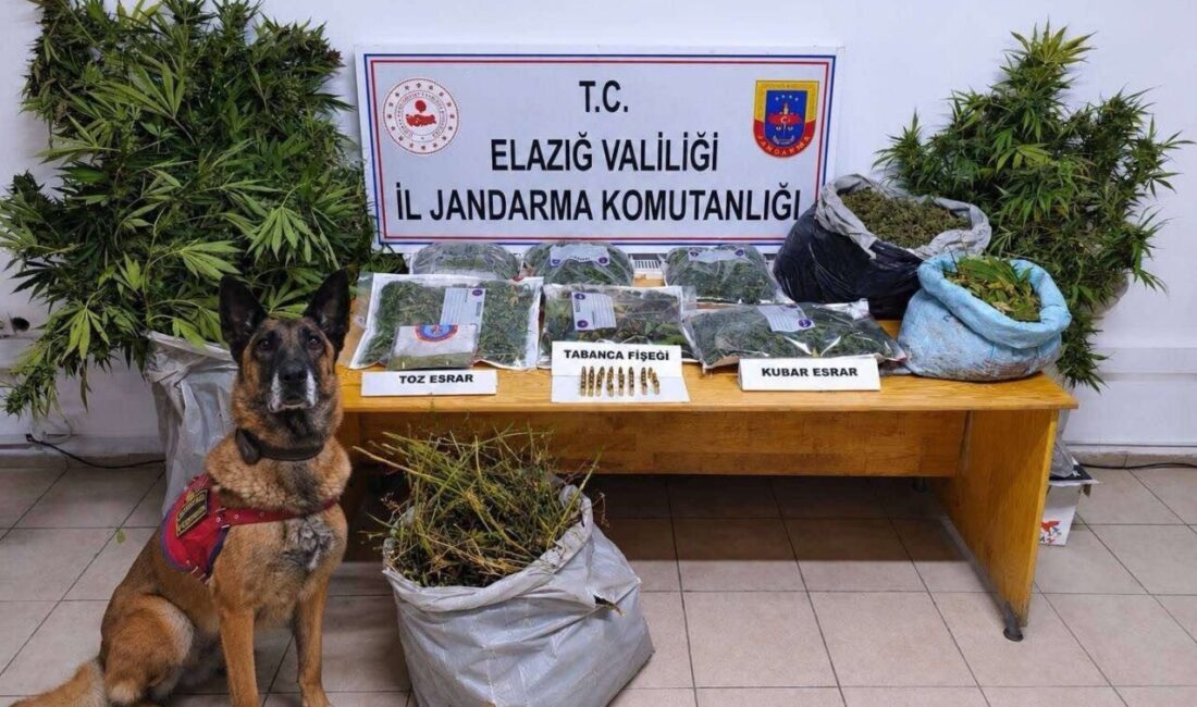 Elazığ’da jandarma tarafından gerçekleştirilen uyuşturucu operasyonunda önemli miktarda uyuşturucu ve