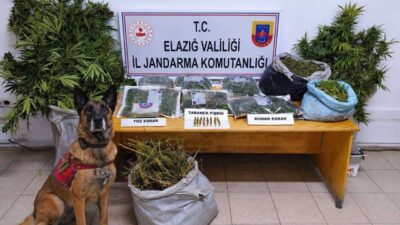 Elazığ’da jandarma tarafından gerçekleştirilen uyuşturucu operasyonunda önemli miktarda uyuşturucu ve