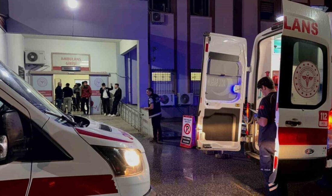 Adıyaman’ın Kahta ilçesinde iki elektrik işçisi karşı tarafa geçerken araç