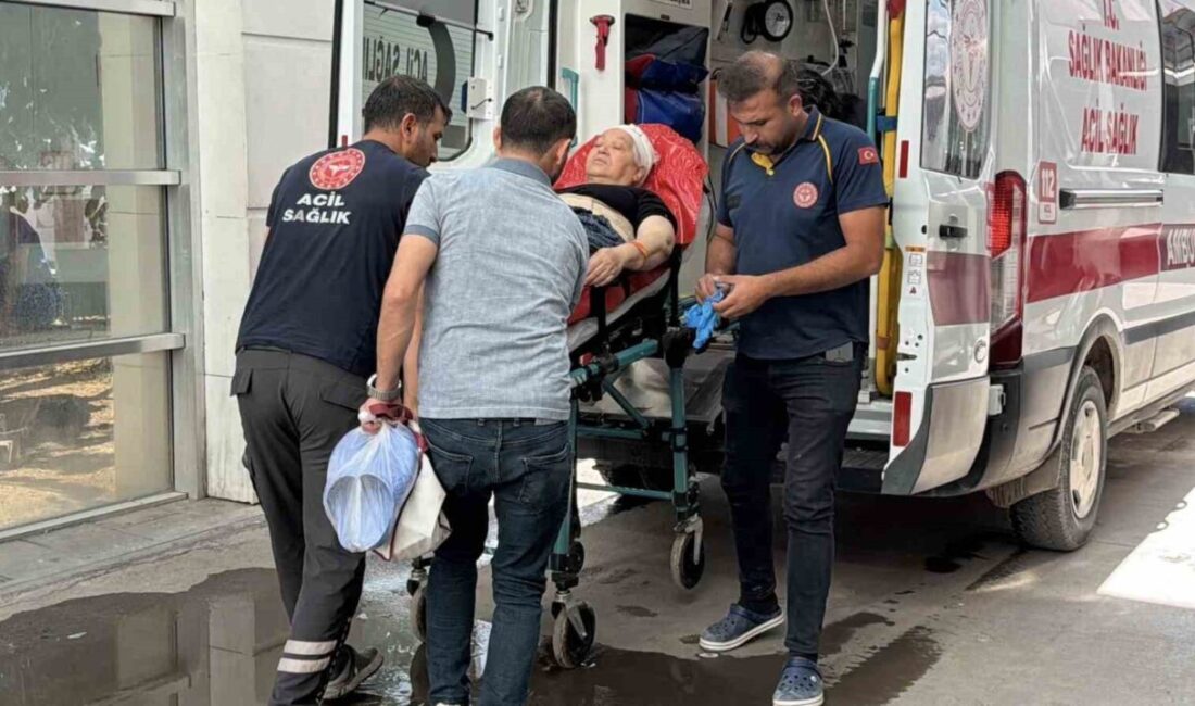 Adıyaman’da bir kadın, elinden düşen bıçağın ayağına saplanması sonucu yaralandı.