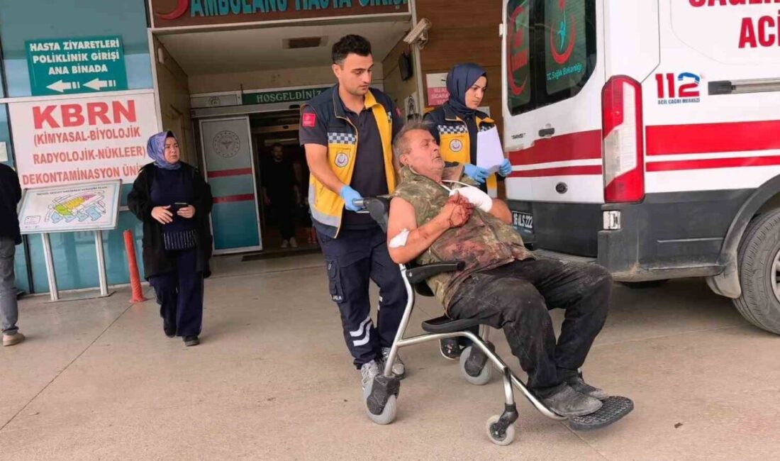 Bursa’nın İnegöl ilçesinde bir adam, odun kesimi yaparken motorlu testereyle