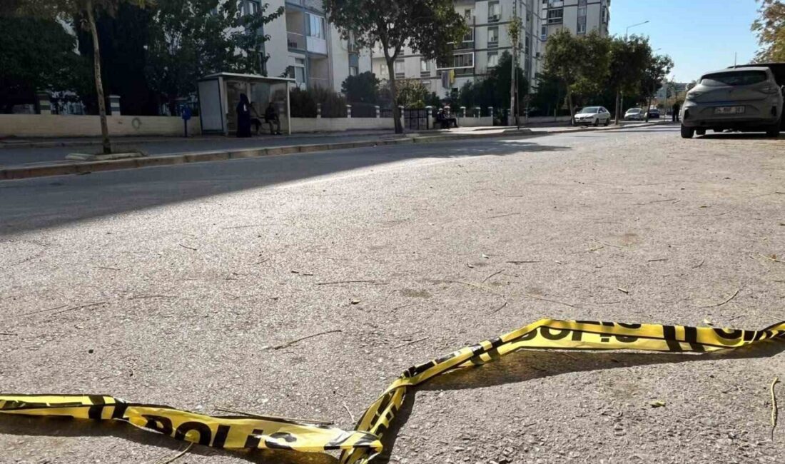 İzmir’in Çiğli ilçesinde, emekli astsubay olduğu belirtilen iki kardeş arasında
