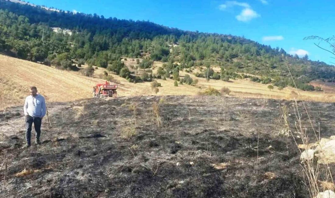 Yağcık köyüne bağlı Pamuktarla mevkiinde belirlenemeyen bir nedenle çıkan ot