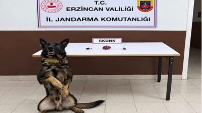 Erzincan’da Jandarma ekipleri tarafından düzenlenen iki ayrı uyuşturucu operasyonunda, 13