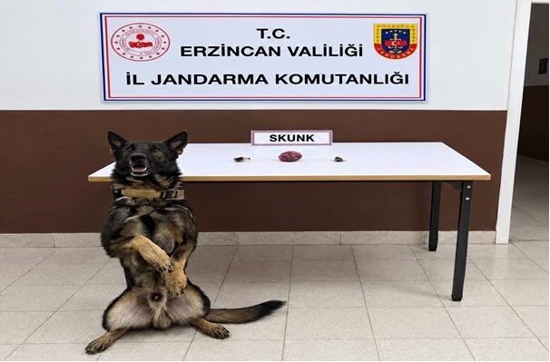 Erzincan’da Jandarma ekipleri tarafından düzenlenen iki ayrı uyuşturucu operasyonunda, 13